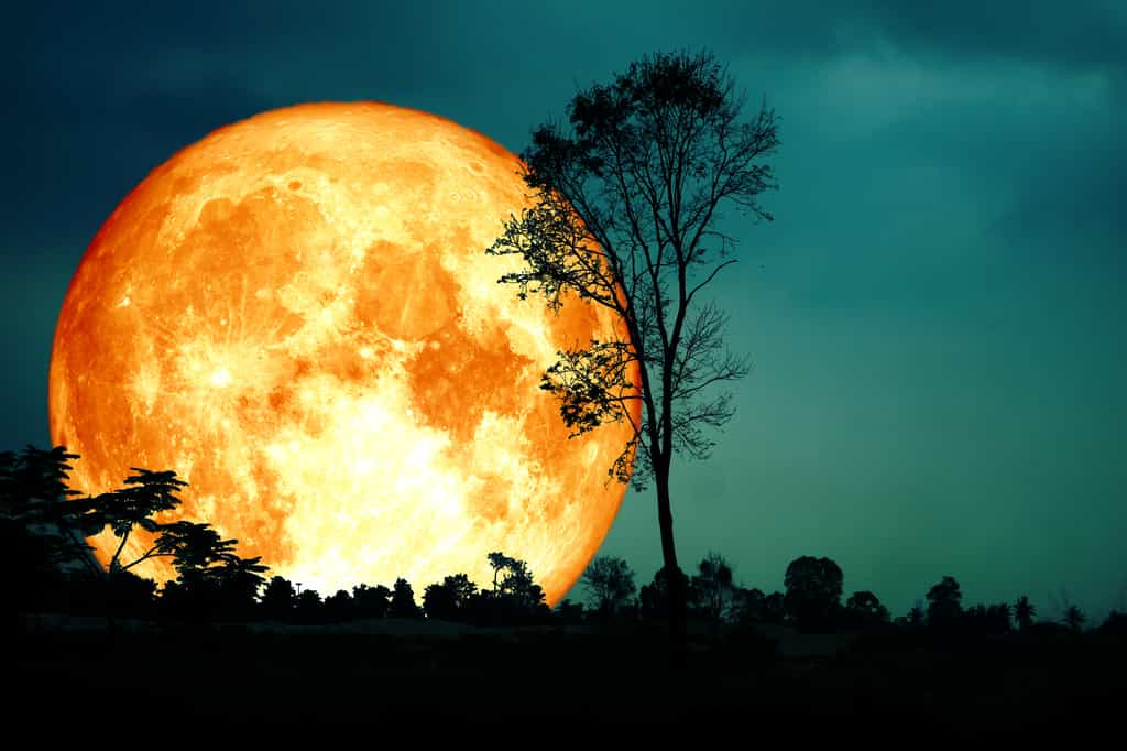 Une rare super lune bleue à admirer en août qu est ce que cela signifie